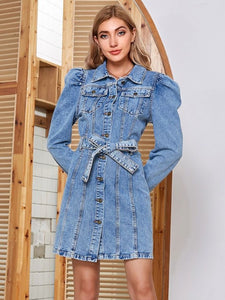 Denim Dress | Button Up Collar Neck