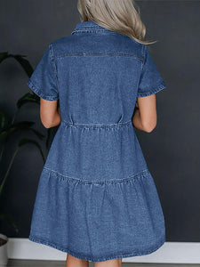 Pocketed Button Up Denim Dress