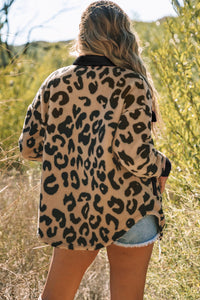 Black Contrast Trimmed Leopard Teddy Shacket | Outerwear/Jackets