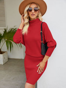 Womens Sweater Dress-Turtle Neck Long Sleeve Ribbed Sweater Dress