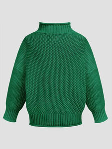 Womens Sweater-Turtleneck Long Sleeve Sweater | sweater