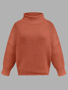 Womens Sweater-Turtleneck Long Sleeve Sweater | sweater